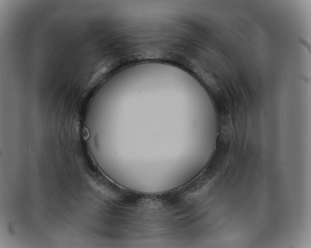 X0000097470207200803071701