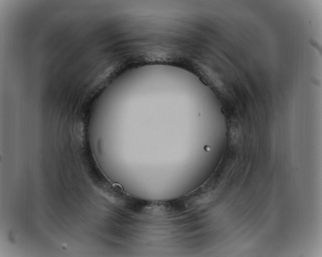 X0000097470211200803071701