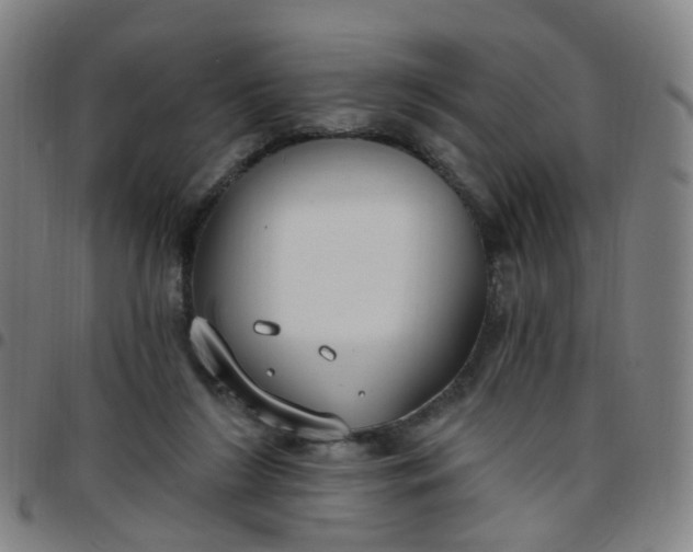 X0000097470212200803071701