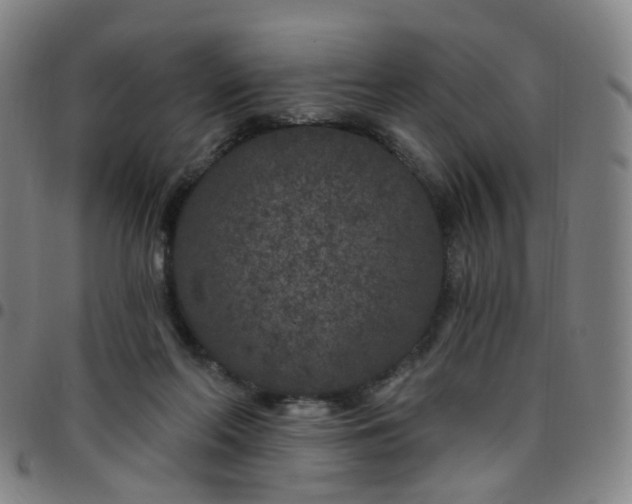 X0000097470214200803071701