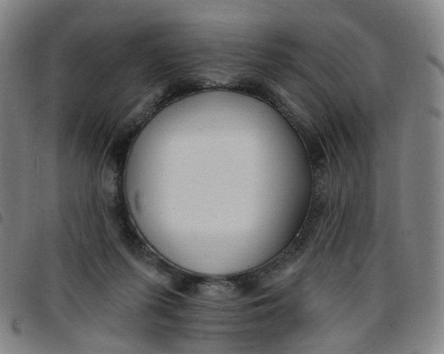 X0000097470215200803071701
