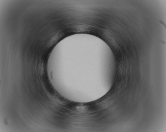 X0000097470216200803071701