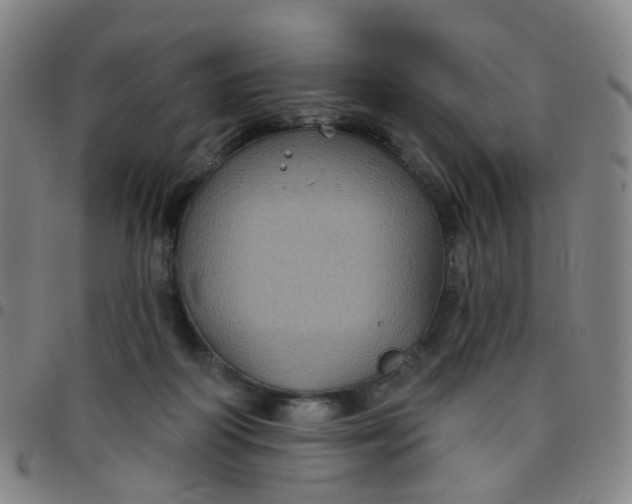 X0000097470218200803071701