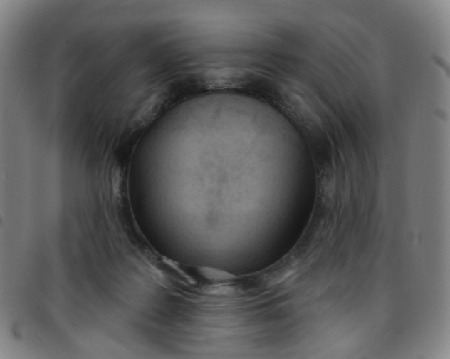 X0000097470219200803071701