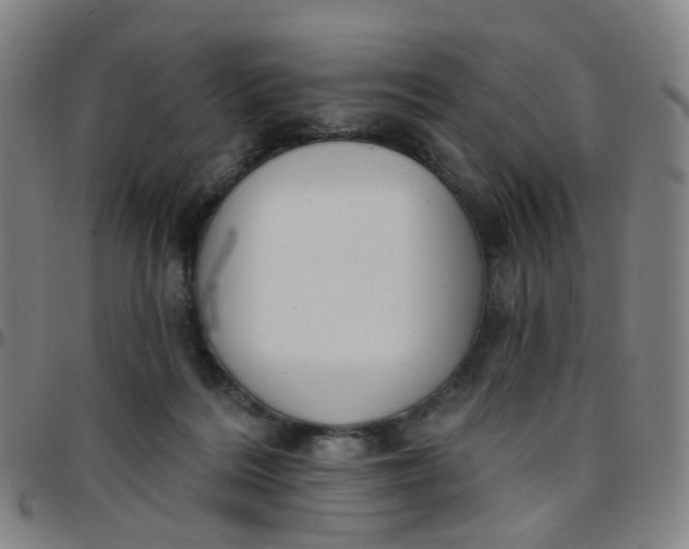 X0000097470220200803071701
