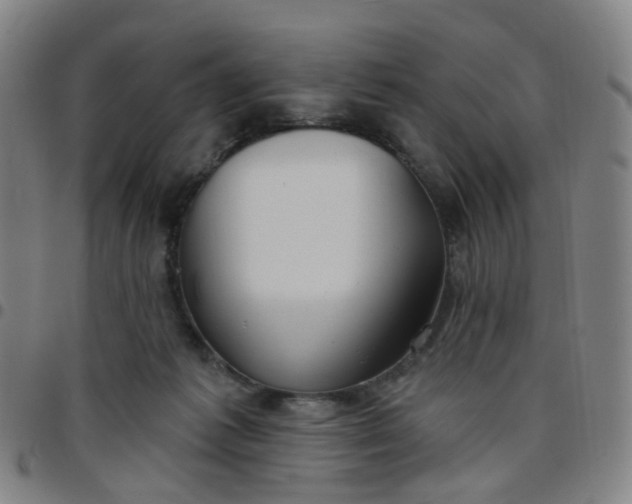 X0000097470221200803071701