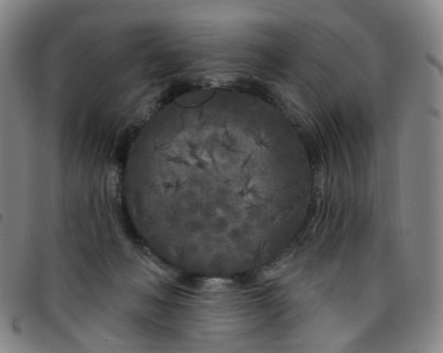 X0000097470222200803071701