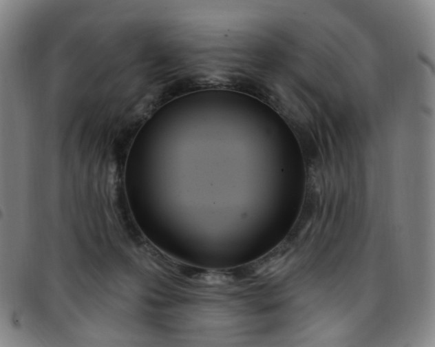 X0000097470223200803071701