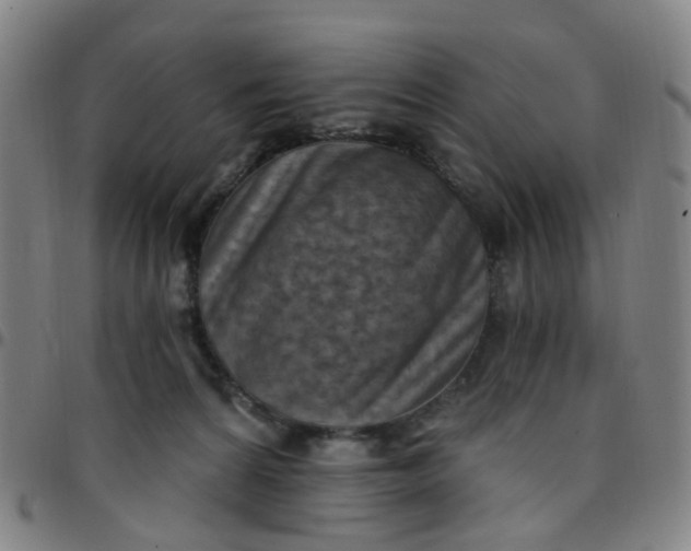 X0000097470224200803071701