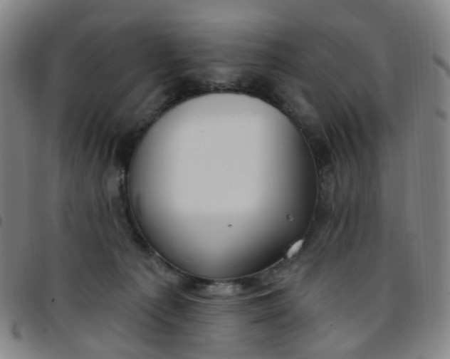 X0000097470225200803071701