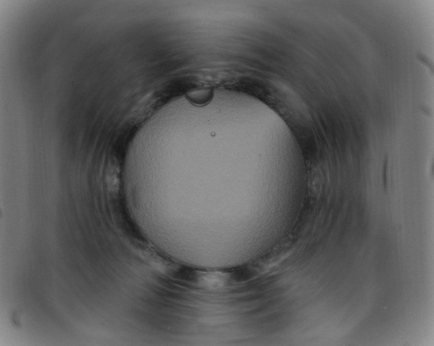 X0000097470226200803071701