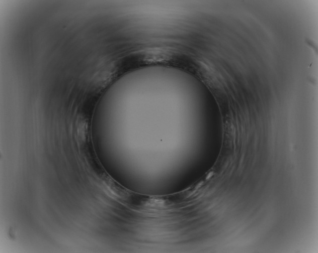 X0000097470227200803071701