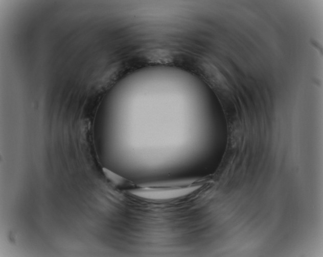 X0000097470229200803071701