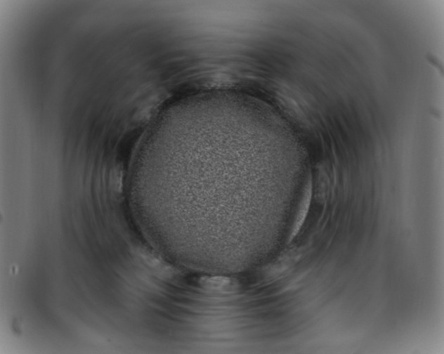 X0000097470230200803071701