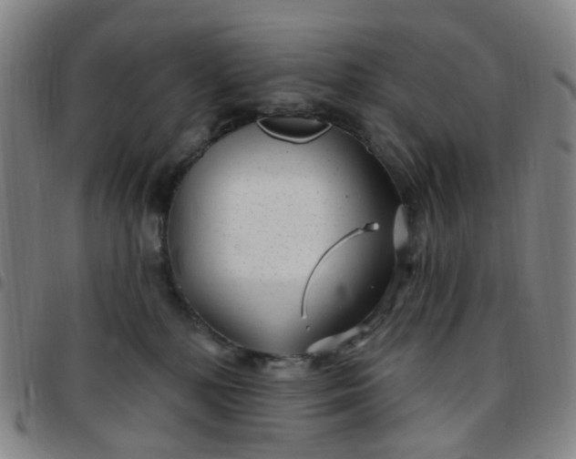 X0000097470232200803071701