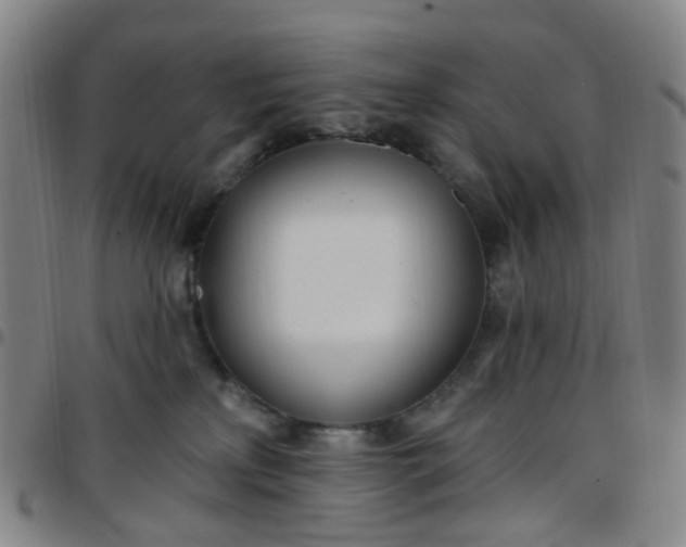 X0000097470233200803071701