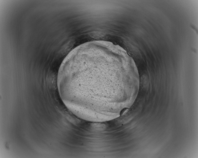 X0000097470234200803071701