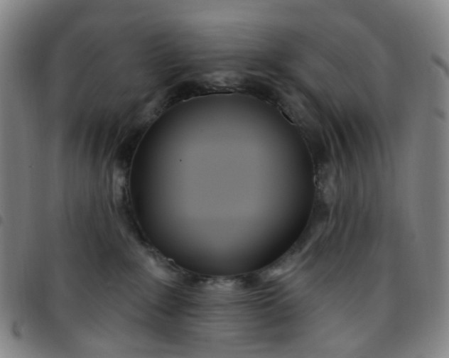 X0000097470235200803071701