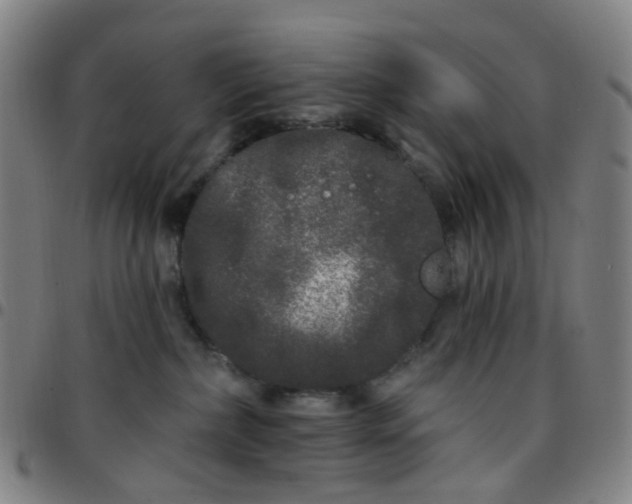 X0000097470236200803071701