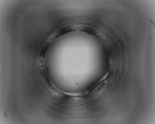 X0000097470237200803071701