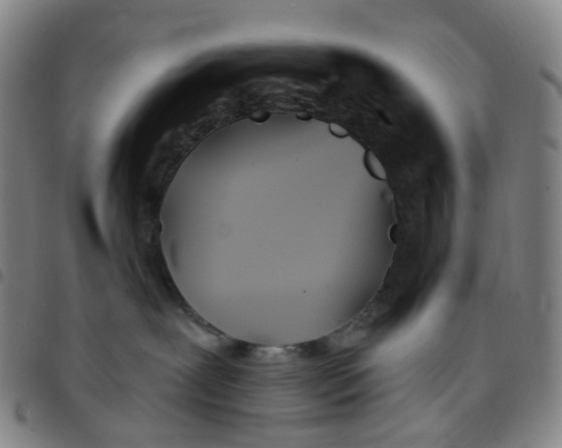 X0000097470239200803071701