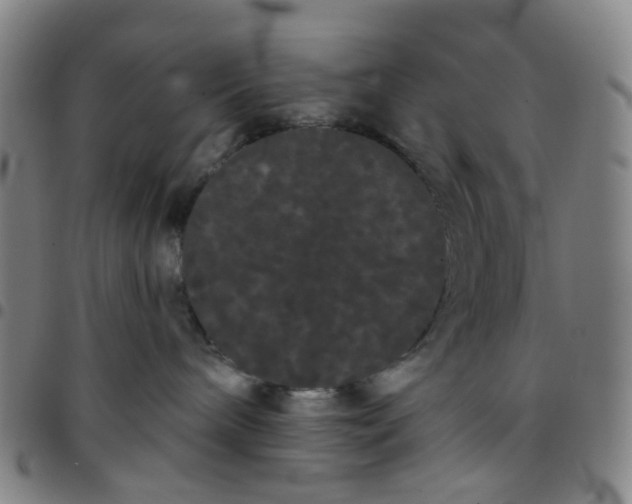 X0000097470240200803071700