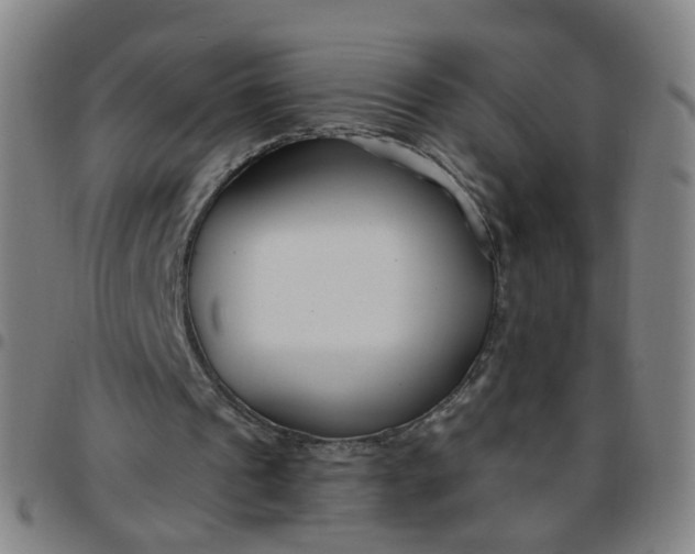 X0000097470241200803071700