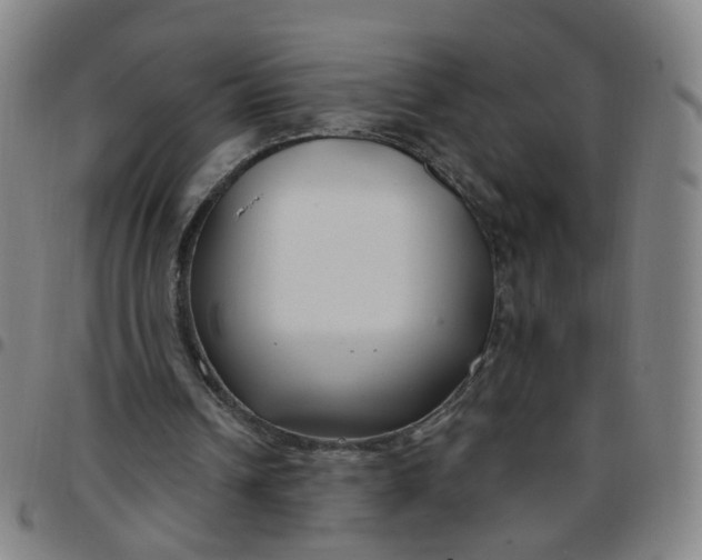 X0000097470242200803071700