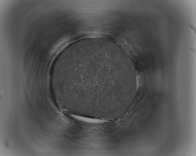 X0000097470243200803071700