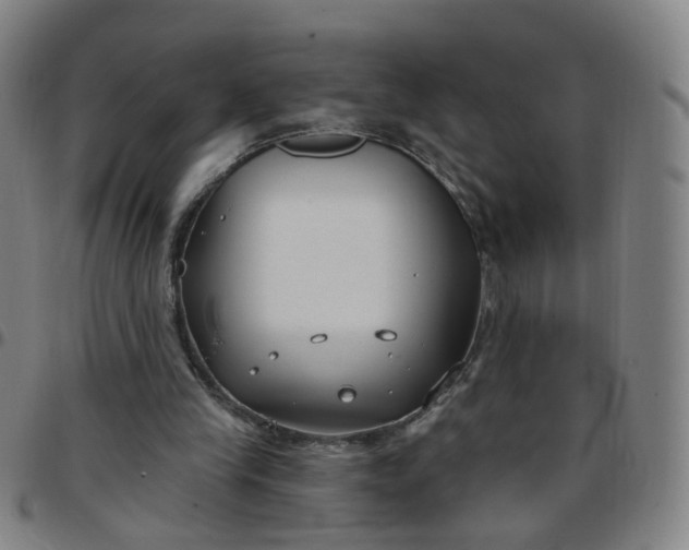 X0000097470245200803071700