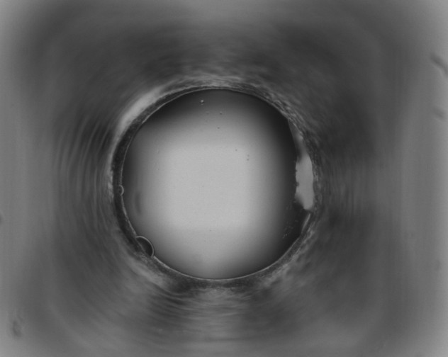 X0000097470246200803071700
