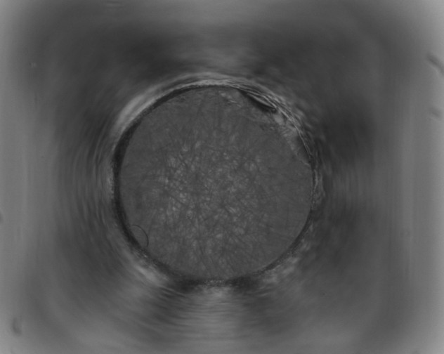 X0000097470247200803071700