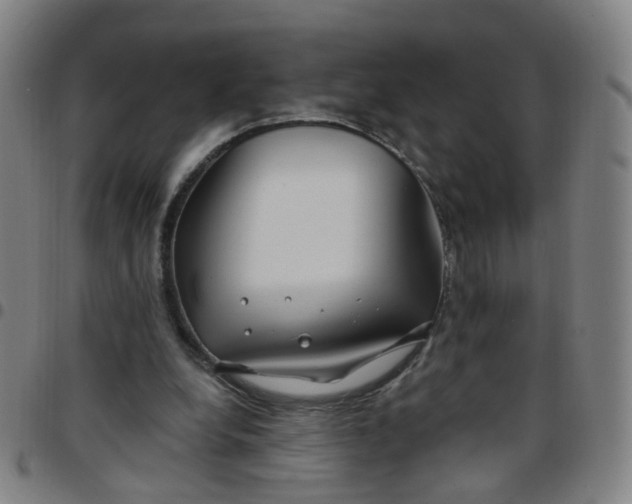 X0000097470248200803071700