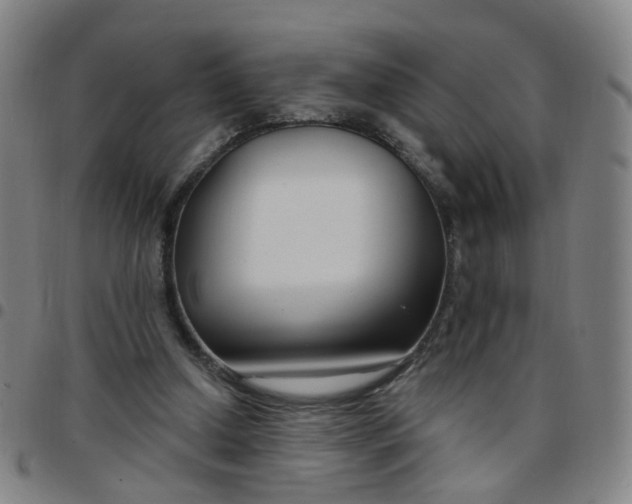 X0000097470250200803071700