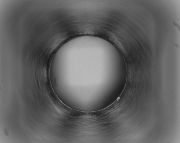 X0000097470251200803071700