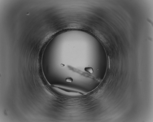 X0000097470252200803071700