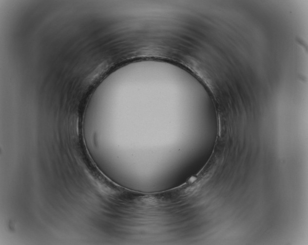 X0000097470253200803071700