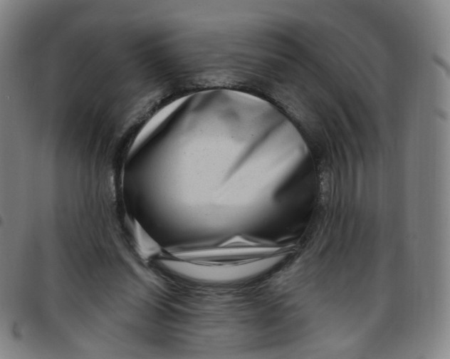 X0000097470254200803071700
