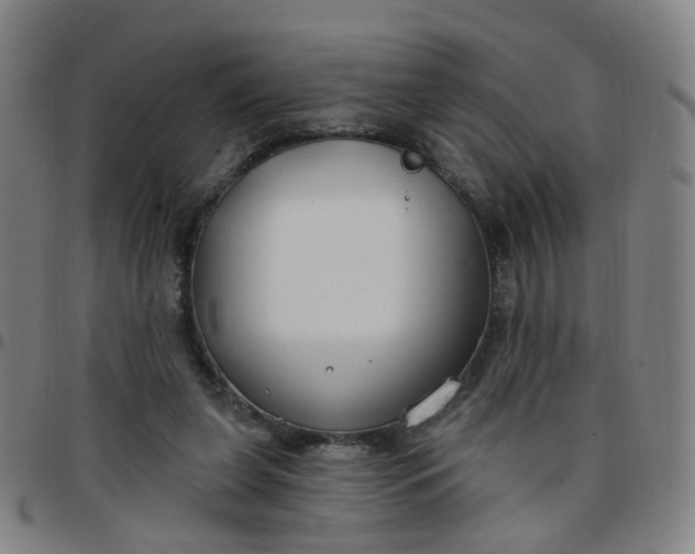 X0000097470255200803071700