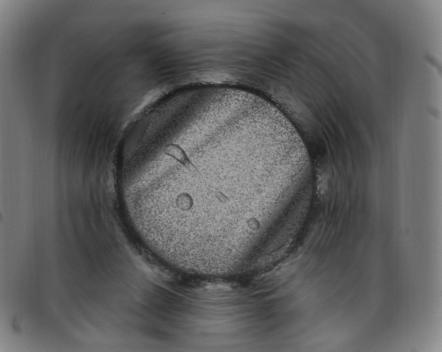 X0000097470256200803071700