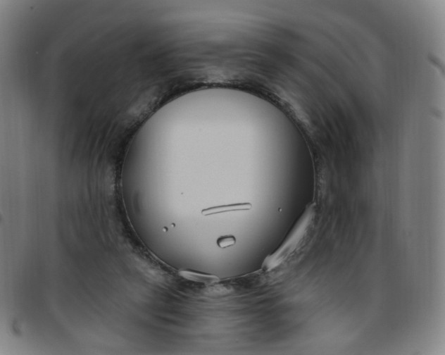X0000097470257200803071700