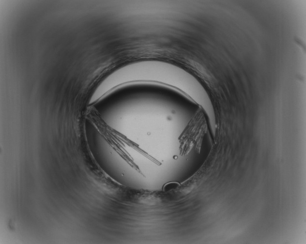 X0000097470258200803071700