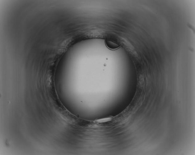 X0000097470259200803071700