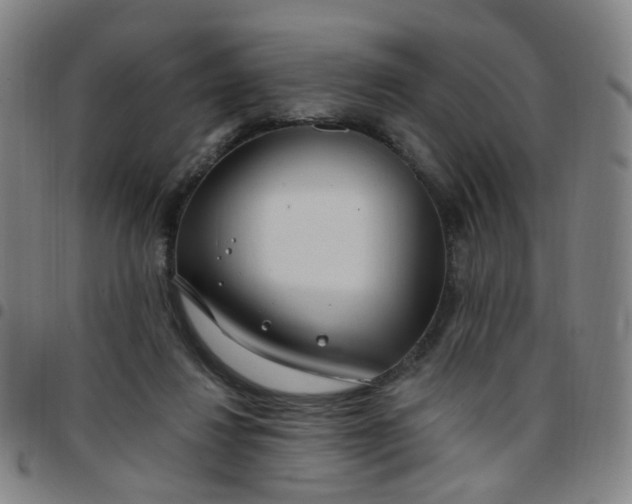 X0000097470260200803071700