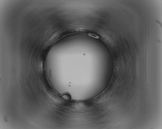X0000097470262200803071700