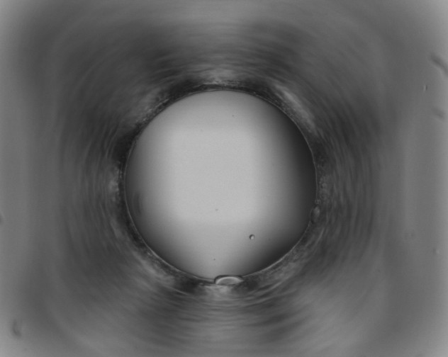 X0000097470265200803071700