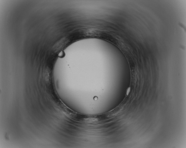 X0000097470266200803071700