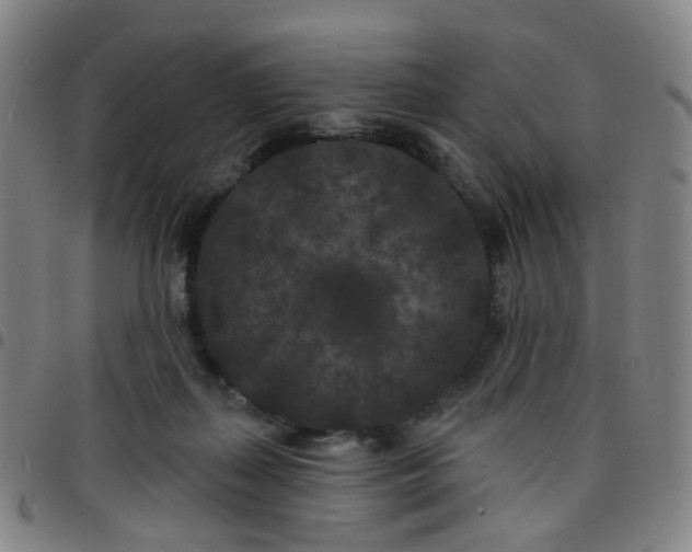 X0000097470267200803071700