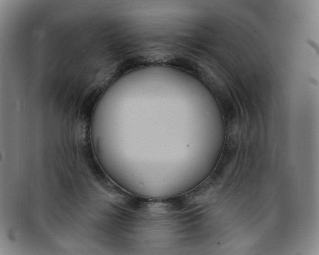 X0000097470268200803071700