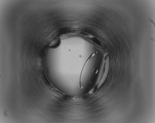 X0000097470270200803071700